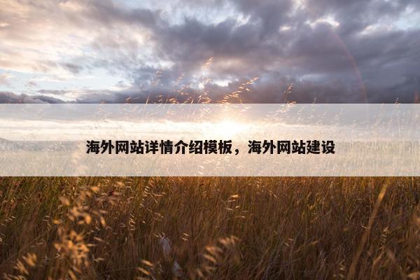 海外网站详情介绍模板，海外网站建设