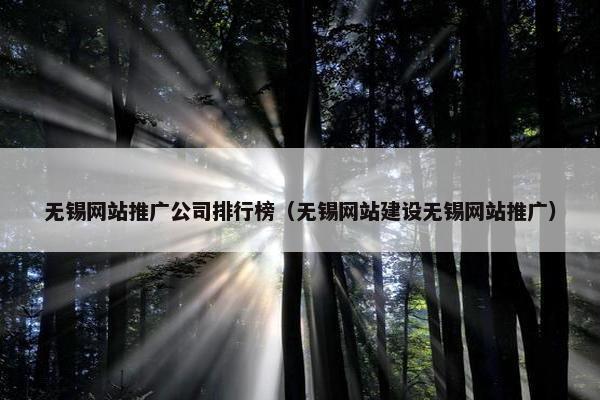 无锡网站推广公司排行榜（无锡网站建设无锡网站推广）