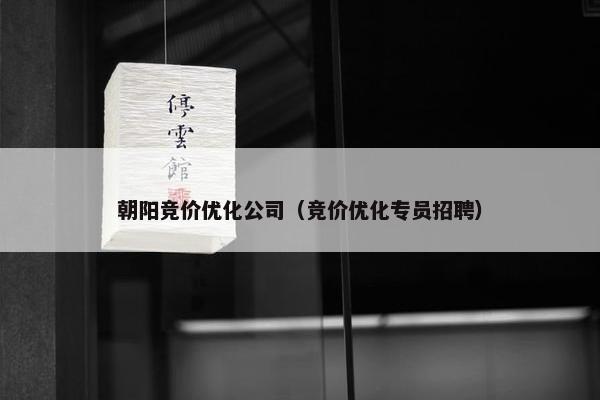 朝阳竞价优化公司（竞价优化专员招聘）