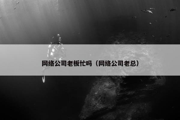 网络公司老板忙吗（网络公司老总）