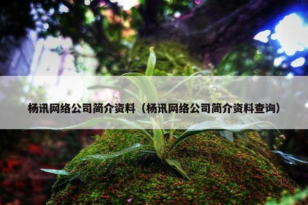 杨讯网络公司简介资料（杨讯网络公司简介资料查询）