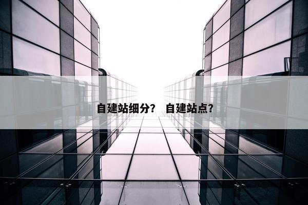 自建站细分？ 自建站点？