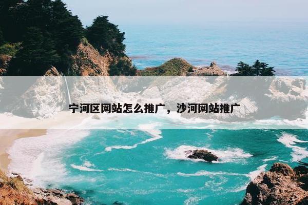 宁河区网站怎么推广，沙河网站推广