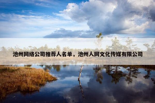池州网络公司推荐人名单，池州人网文化传媒有限公司