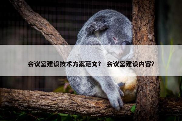会议室建设技术方案范文？ 会议室建设内容？