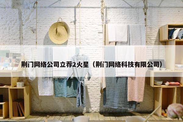 荆门网络公司立荐2火星（荆门网络科技有限公司）