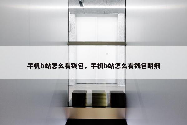 手机b站怎么看钱包，手机b站怎么看钱包明细