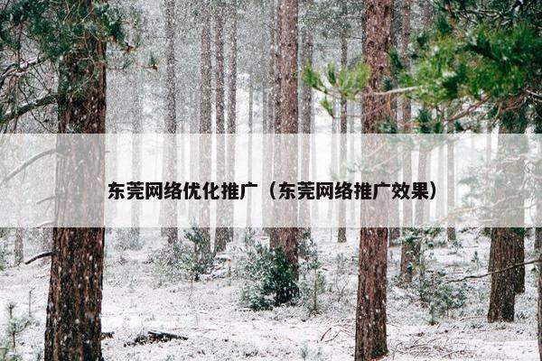 东莞网络优化推广（东莞网络推广效果）