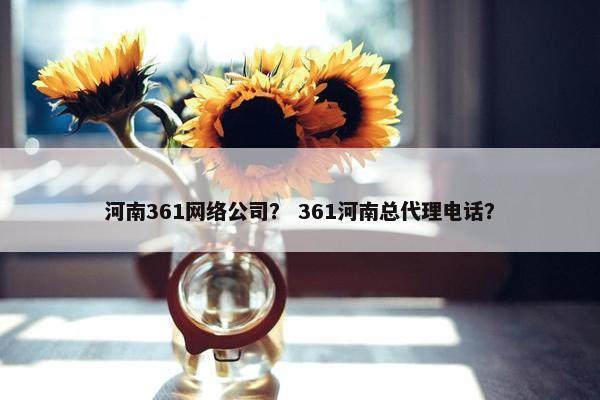 河南361网络公司？ 361河南总代理电话？