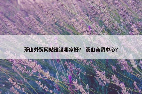 茶山外贸网站建设哪家好？ 茶山商贸中心？