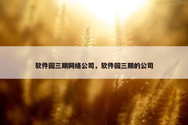 软件园三期网络公司，软件园三期的公司