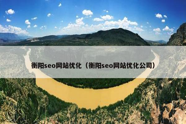 衡阳seo网站优化（衡阳seo网站优化公司）
