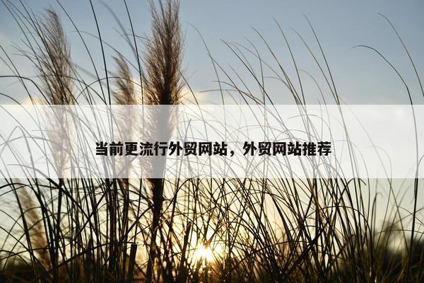 当前更流行外贸网站，外贸网站推荐