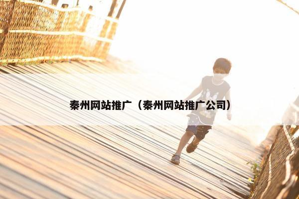 秦州网站推广（秦州网站推广公司）
