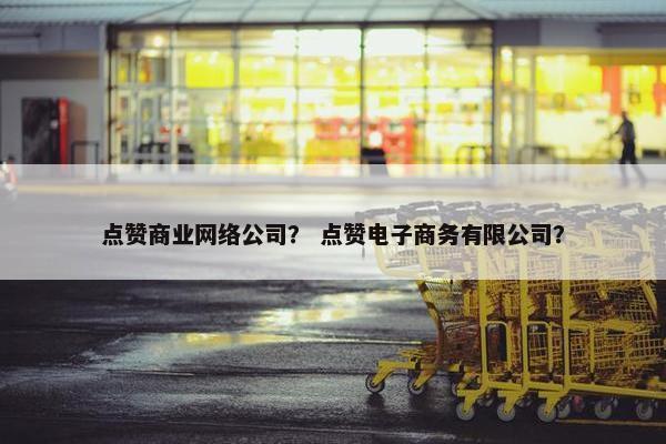点赞商业网络公司？ 点赞电子商务有限公司？