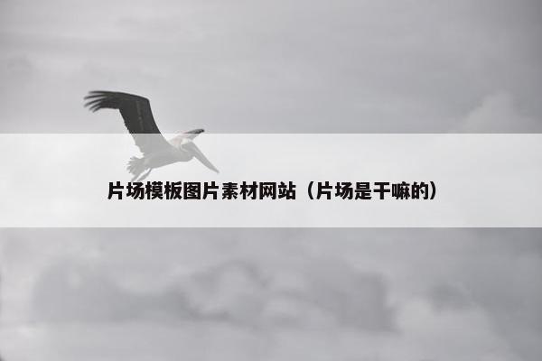 片场模板图片素材网站（片场是干嘛的）