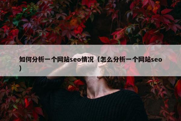 如何分析一个网站seo情况（怎么分析一个网站seo）