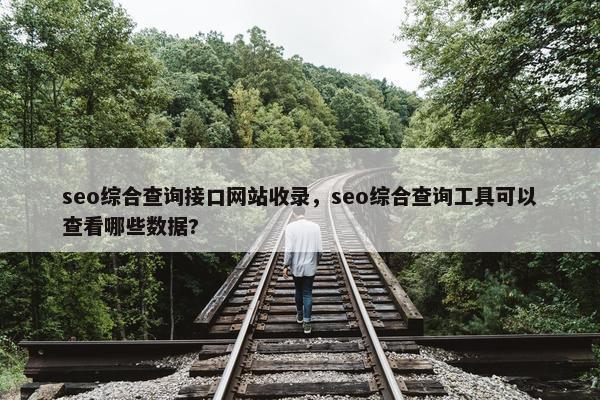 seo综合查询接口网站收录，seo综合查询工具可以查看哪些数据?