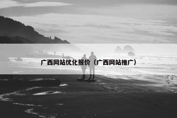 广西网站优化报价（广西网站推广）