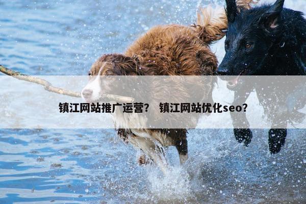 镇江网站推广运营？ 镇江网站优化seo？