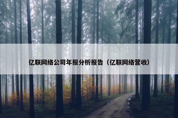 亿联网络公司年报分析报告（亿联网络营收）