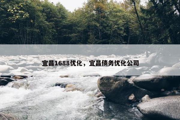 宜昌1688优化，宜昌债务优化公司