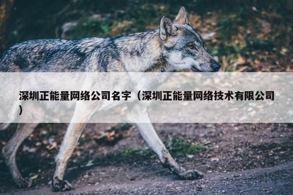深圳正能量网络公司名字（深圳正能量网络技术有限公司）