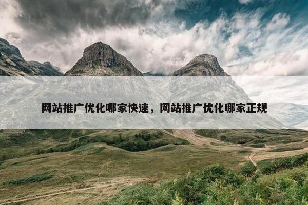 网站推广优化哪家快速，网站推广优化哪家正规