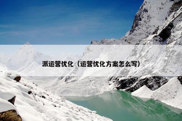 派运营优化（运营优化方案怎么写）