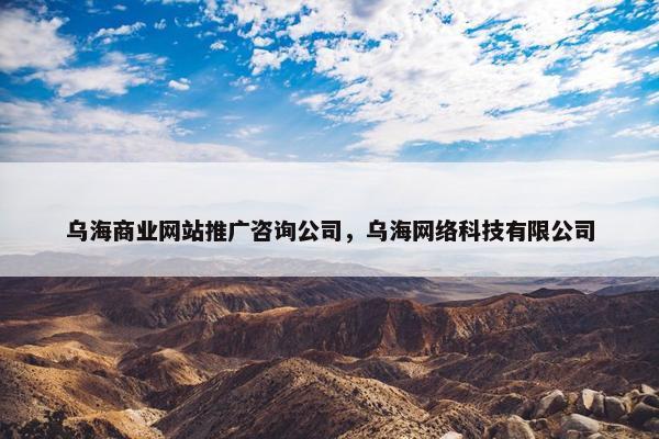 乌海商业网站推广咨询公司，乌海网络科技有限公司