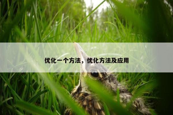 优化一个方法，优化方法及应用