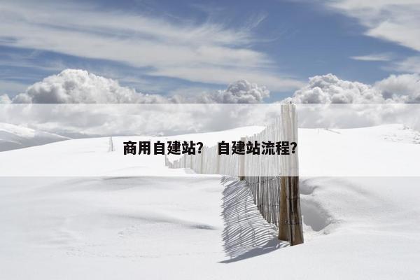 商用自建站？ 自建站流程？