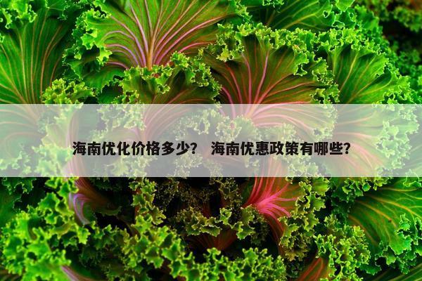 海南优化价格多少？ 海南优惠政策有哪些？