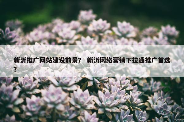 新沂推广网站建设前景？ 新沂网络营销下拉通推广首选？