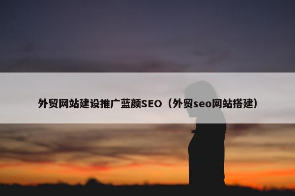外贸网站建设推广蓝颜SEO（外贸seo网站搭建）