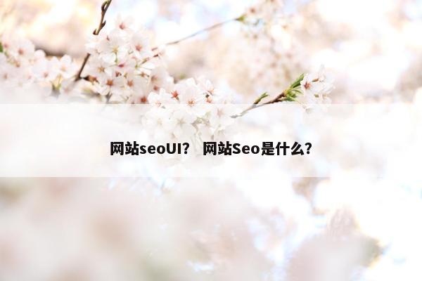 网站seoUI？ 网站Seo是什么？