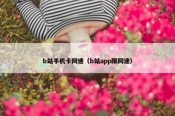 b站手机卡网速（b站app限网速）