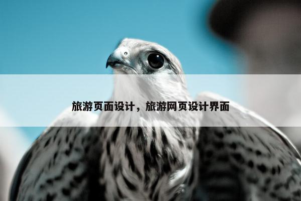 旅游页面设计，旅游网页设计界面