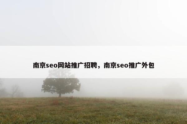 南京seo网站推广招聘，南京seo推广外包