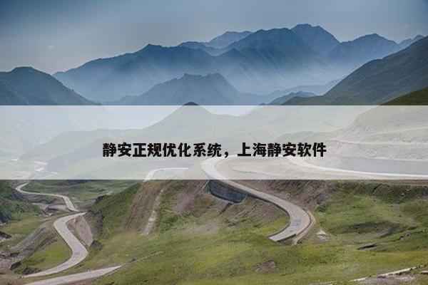 静安正规优化系统，上海静安软件