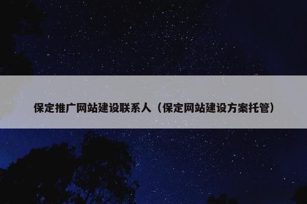 保定推广网站建设联系人（保定网站建设方案托管）