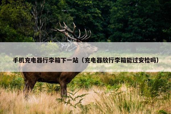 手机充电器行李箱下一站（充电器放行李箱能过安检吗）