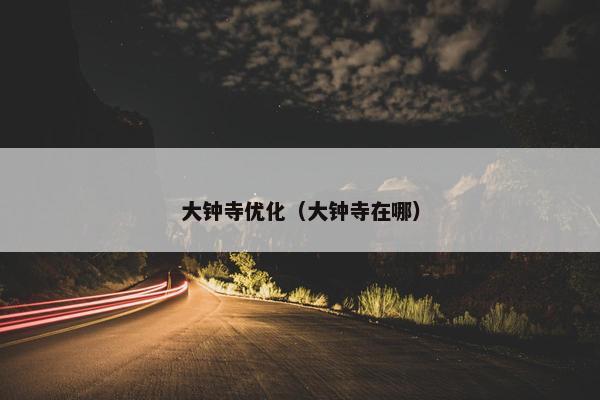 大钟寺优化（大钟寺在哪）