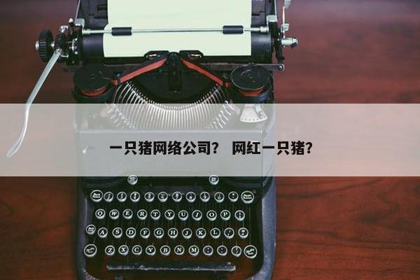 一只猪网络公司？ 网红一只猪？