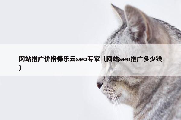 网站推广价格棒乐云seo专家（网站seo推广多少钱）