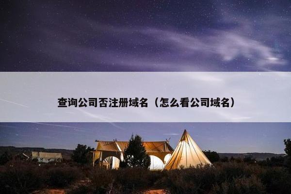 查询公司否注册域名（怎么看公司域名）