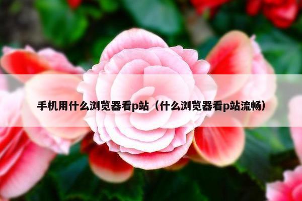 手机用什么浏览器看p站（什么浏览器看p站流畅）