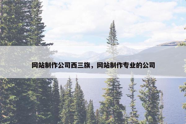 网站制作公司西三旗，网站制作专业的公司