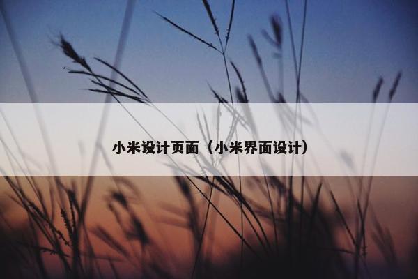小米设计页面（小米界面设计）