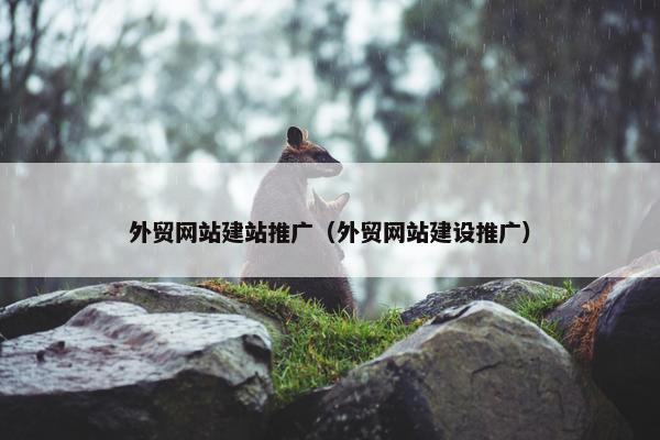 外贸网站建站推广（外贸网站建设推广）